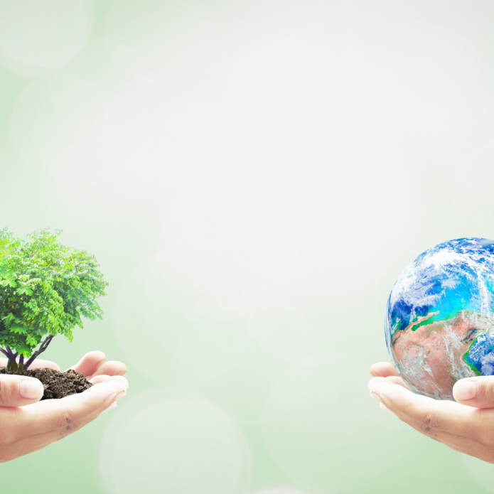 8 Ideas to Celebrate Earth Day