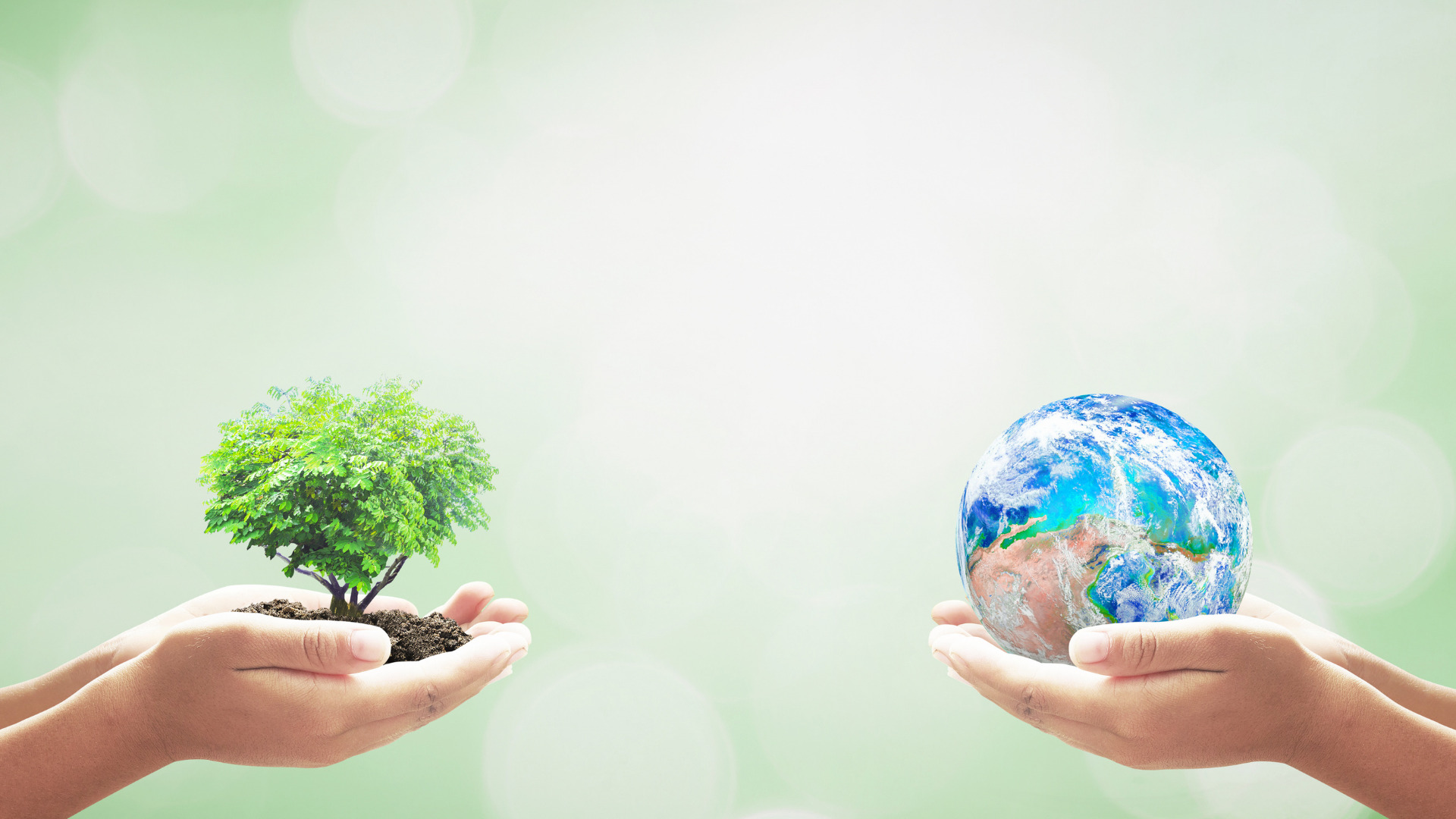 8 Ideas to Celebrate Earth Day