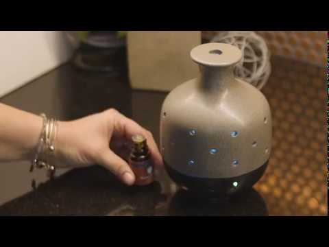 ALL DAY CARE WITH GUARD AGAINST