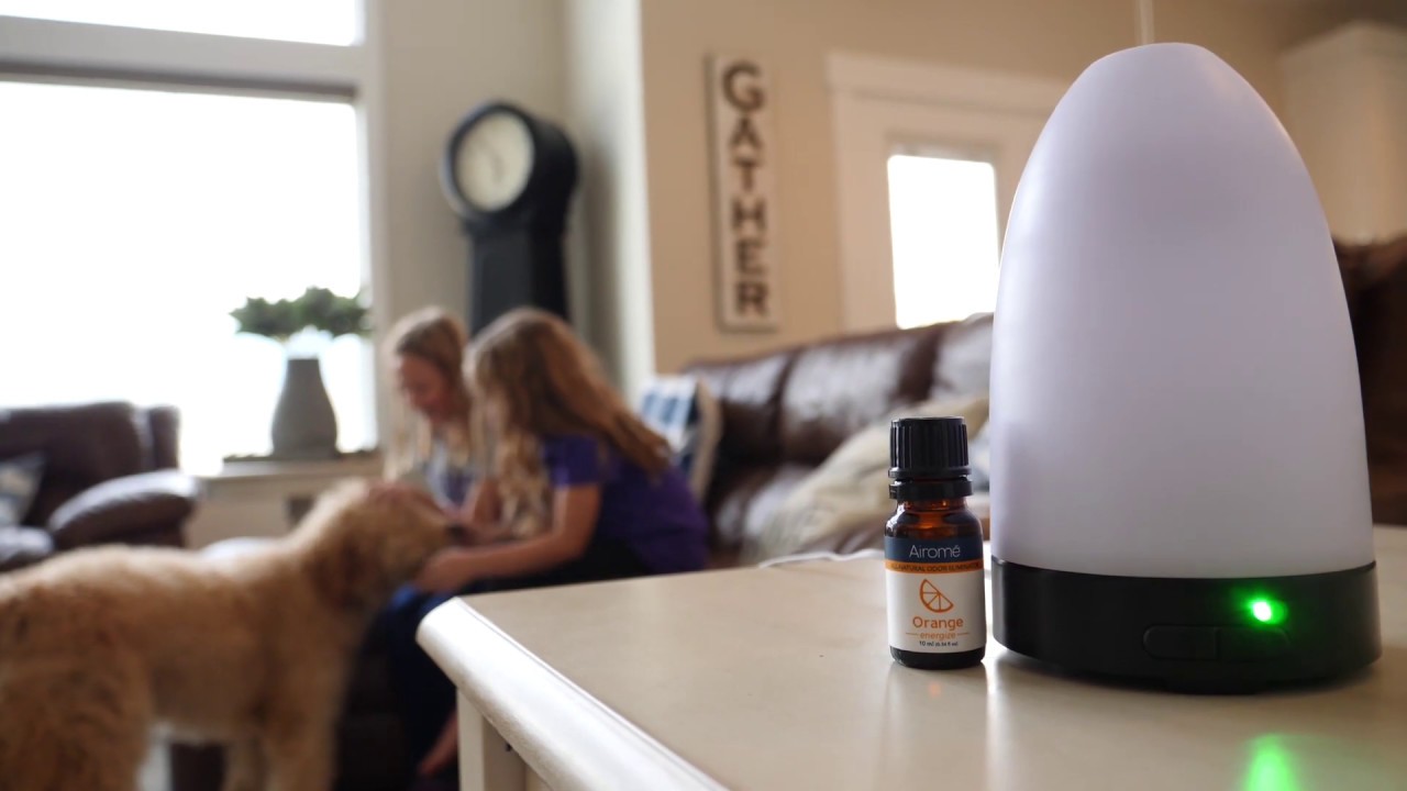 ALL-NATURAL ODOR ELIMINATORS