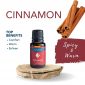 Cinnamon Essential Oil by Airomé