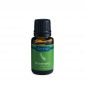 Rosemary Essential Oil