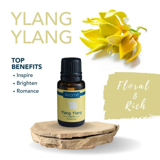 Kit pour l'ambiance huiles essentielles ylang ylang et encens 2x10ml à  diffuser