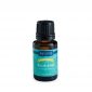 Eucalyptus Organic Essential Oil