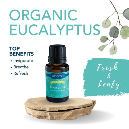 Eucalyptus Organic Essential Oil - Airome