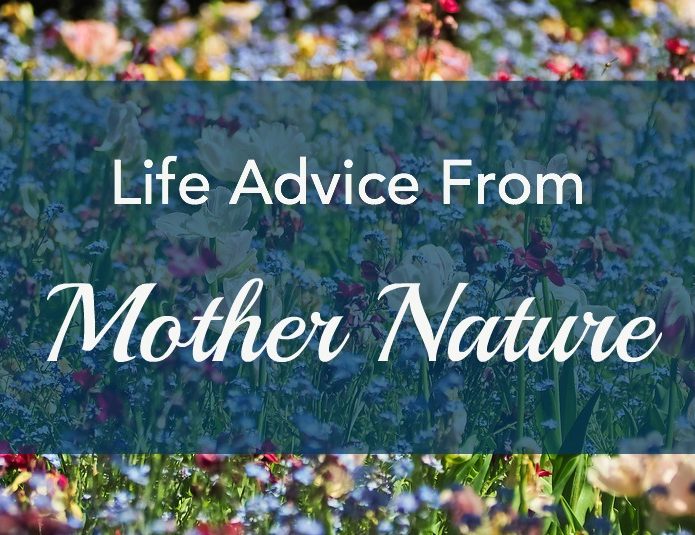Life Advice From Mother Nature