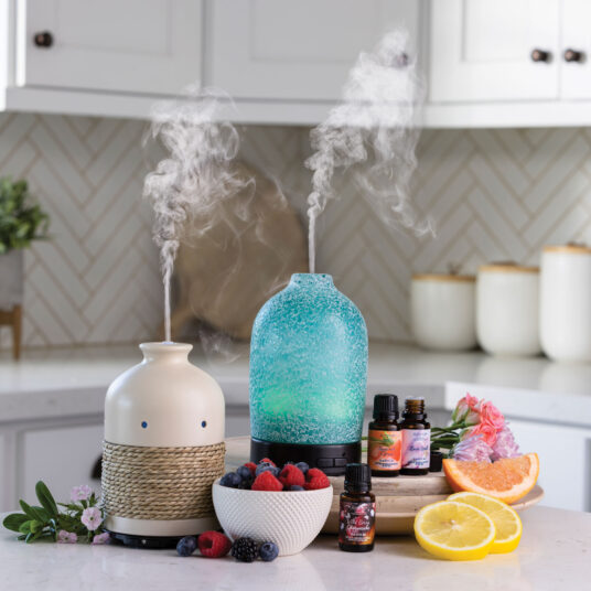 芳香器・アロマポット・アロマストーン 2671.NEIGHBORHOOD NUMBER ONE/OILDIFFUSER Gemstone Diffusers – PALMOIRE