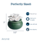 Bloom Porcelain Diffuser from Airome is a beautiful ceramic flower blooming from a wooden lid and speckled green porcelain vessel. The eucalyptus essential oil included gives off a fresh and woody aromatic scent.