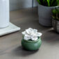 Bloom Porcelain Diffuser from Airome is a beautiful ceramic flower blooming from a wooden lid and speckled green porcelain vessel. The eucalyptus essential oil included gives off a fresh and woody aromatic scent.