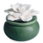 Bloom Porcelain Diffuser from Airome is a beautiful ceramic flower blooming from a wooden lid and speckled green porcelain vessel. The eucalyptus essential oil included gives off a fresh and woody aromatic scent.