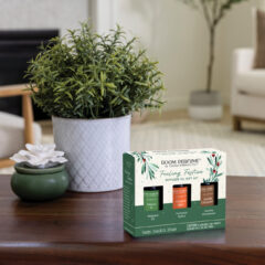 Indulge in the essence of the season with Feeling Festive, Candle Warmers Etc.'s newest Room Perfume Diffuser Oil gift set. Revel in the crisp, invigorating scent of  Balsam Fir, indulge in the cozy embrace of Pumpkin Spice, and delight in the sweet allure of Vanilla Cinnamon. Whether you're unwinding after a long day or setting the perfect ambiance for a festive gathering, these luxurious oils are sure to delight your senses and evoke memories of joyful holiday seasons.