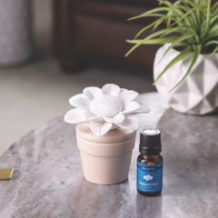 DESIGN: Let the sun shine with the cheerful Porcelain Essential Oil Diffuser. Featuring a bright sunflower lid, this diffuser emanates feel-good vibes along with beautiful fragrance from your favorite essential oils. The potted plant design will look great anywhere and no sunlight is required to keep the bloom on top looking happy.
BATTERY-FREE DIFFUSER: Diffuser does not need power or batteries. It wicks oil up into the porcelain piece and diffuses fragrance into the room.
PORTABLE: Works great in small spaces and can be placed on any flat surface.
ESSENTIAL OIL INCLUDED: We include a 10 mL bottle of our pure, therapeutic-grade Peppermint Airome essential oil.
PURE AND NATURAL FRAGRANCE: Recommended use with our 100% pure, therapeutic grade essential oil singles and blends or our all-natural AiromeScents blends. Sold separately.
Airome Passive Porcelain Essential Oil Diffusers can be filled with 100% pure essential oils, fragrance oil, or water and oil to diffuse fragrance that lasts for up to 2 weeks. A porcelain botanical rests on a ceramic base to bring natural beauty to your space as you enjoy the aromatherapy benefits of 100% pure essential oils. Once your oil is completely diffused, simply let the flower dry out before switching fragrances or diffuse only water to clean out between fragrances. Includes a 10 mL bottle of pure peppermint essential oil, but can be used with any essential or fragrance oil.