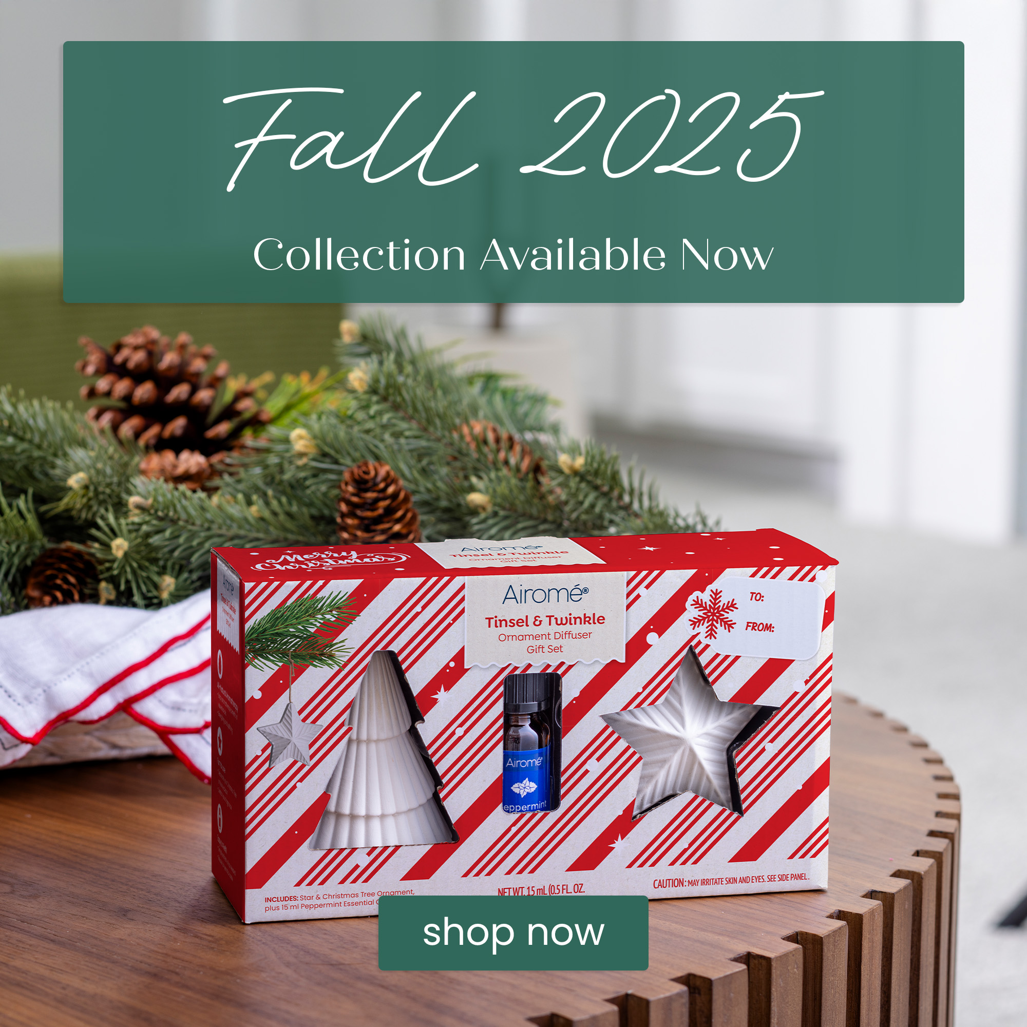 2025 Fall Airome Mobile Website Header