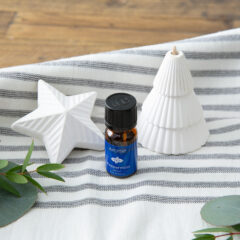 Add festive cheer to your home with our Tinsel and Twinkle Diffuser Set! Featuring porcelain Christmas tree and star ornament diffusers, plus a 10mL bottle of peppermint essential oil, it’s the perfect way to decorate and refresh your space with holiday spirit.