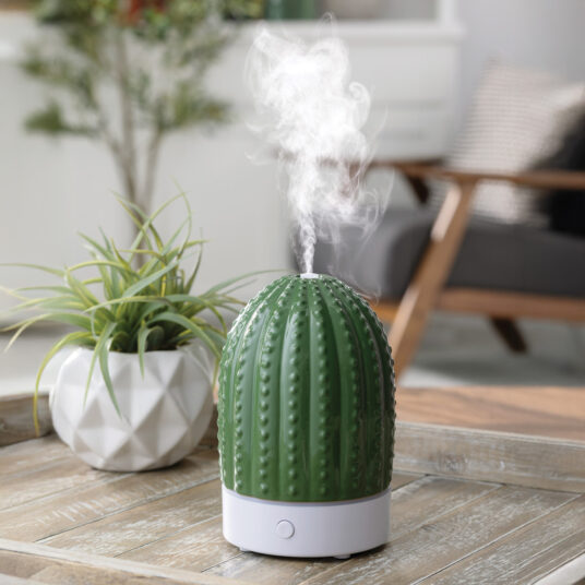 Bring a touch of nature indoors with the Cactus USB Ultrasonic Diffuser. This chic botanical accent is finished in soft celadon green with embossed details.
