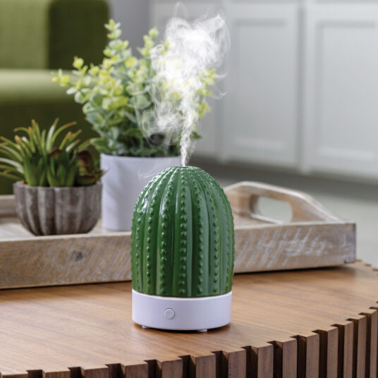 Bring a touch of nature indoors with the Cactus USB Ultrasonic Diffuser. This chic botanical accent is finished in soft celadon green with embossed details.