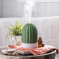 Bring a touch of nature indoors with the Cactus USB Ultrasonic Diffuser. This chic botanical accent is finished in soft celadon green with embossed details.